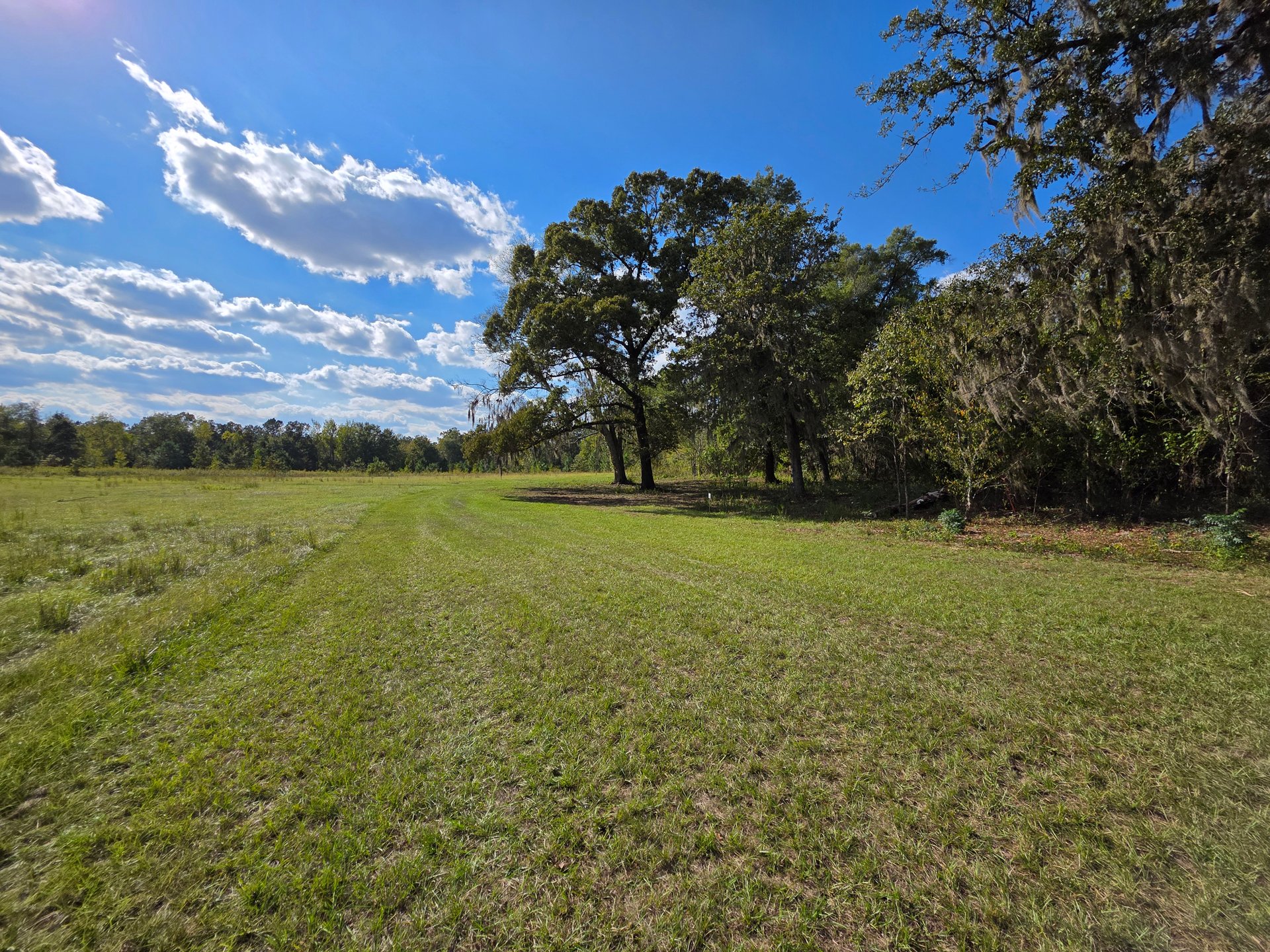 Hole 7's landing zone, looking at the approach shot up between the trees.
