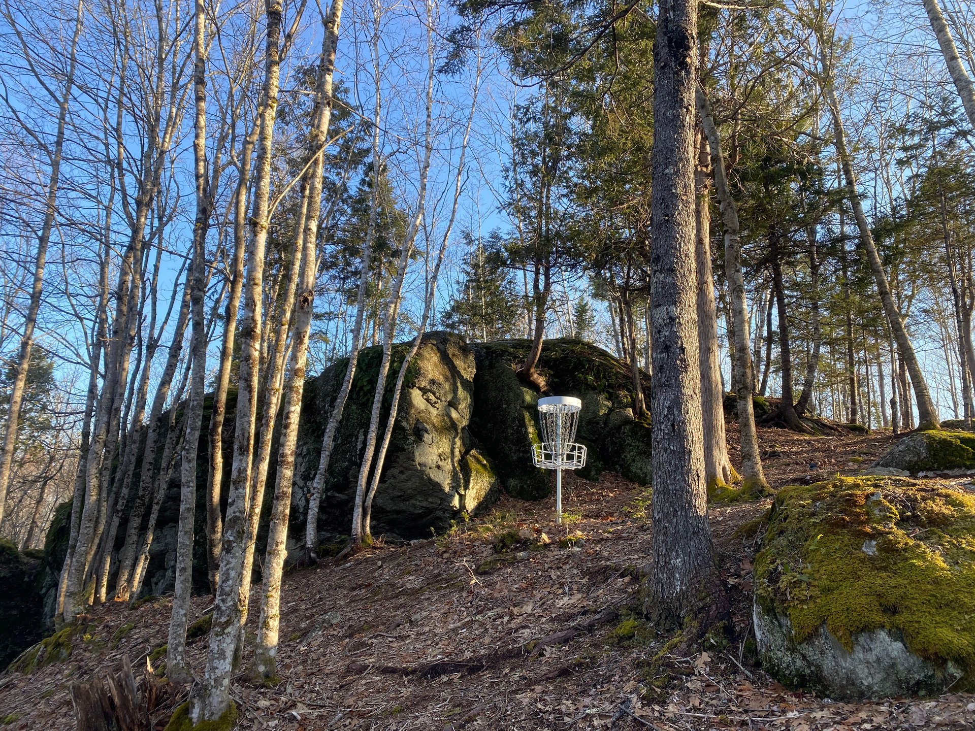 Approach to basket #8