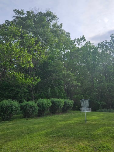 Hole 7's green