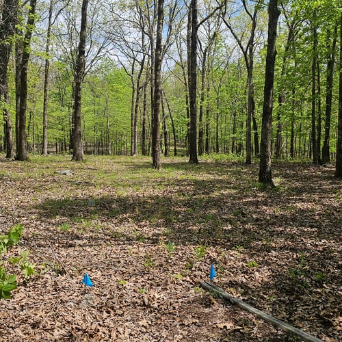 Hole 3 from the tee. 