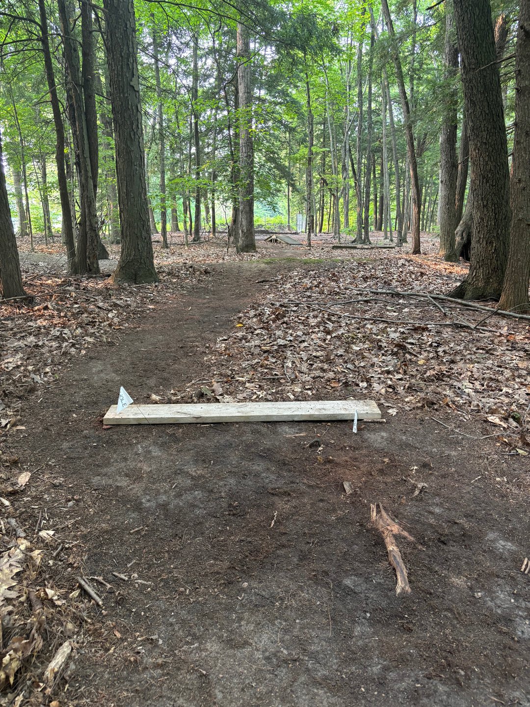 Hole 3 tee