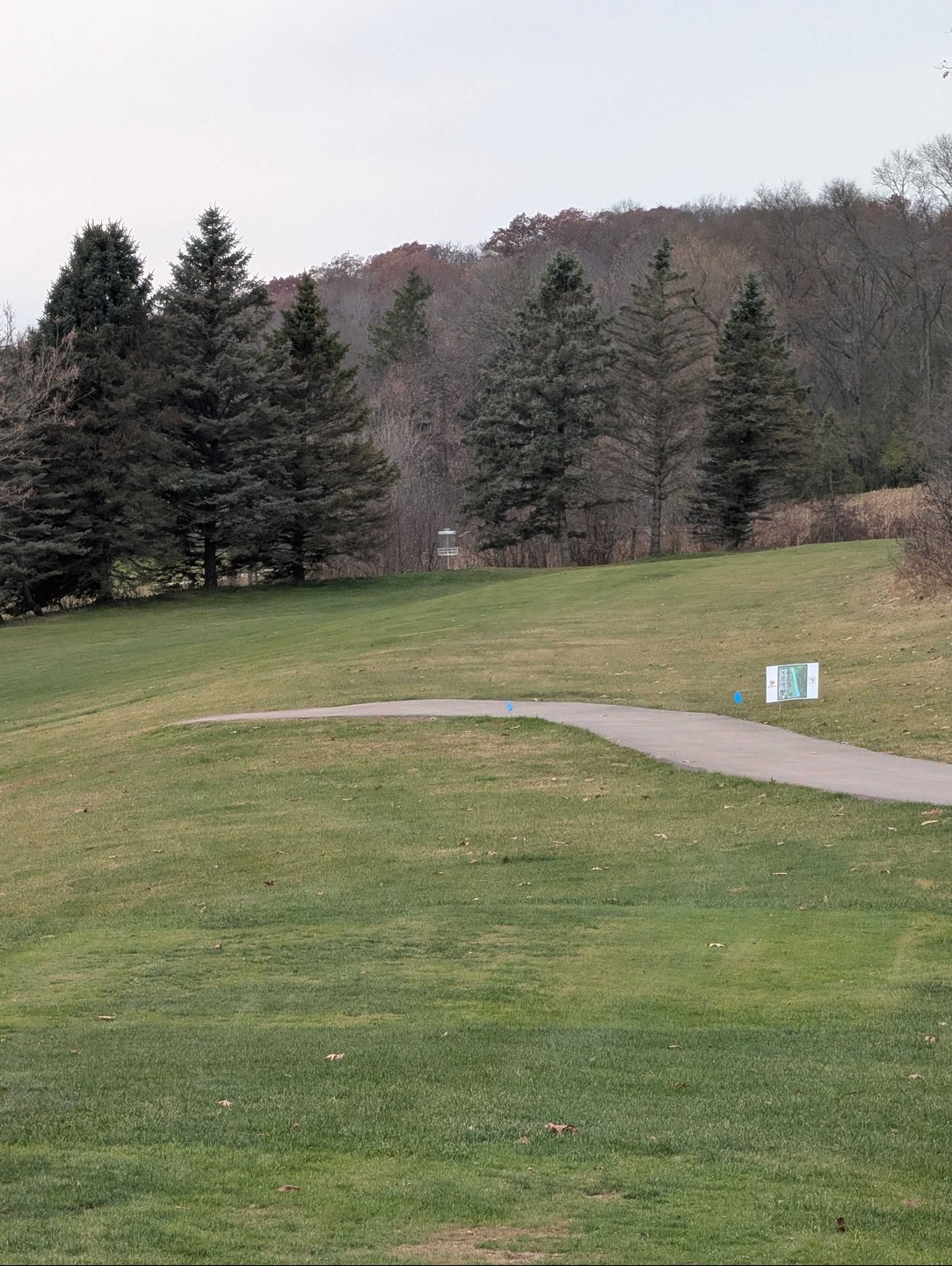 basket location zoomed in from long tee