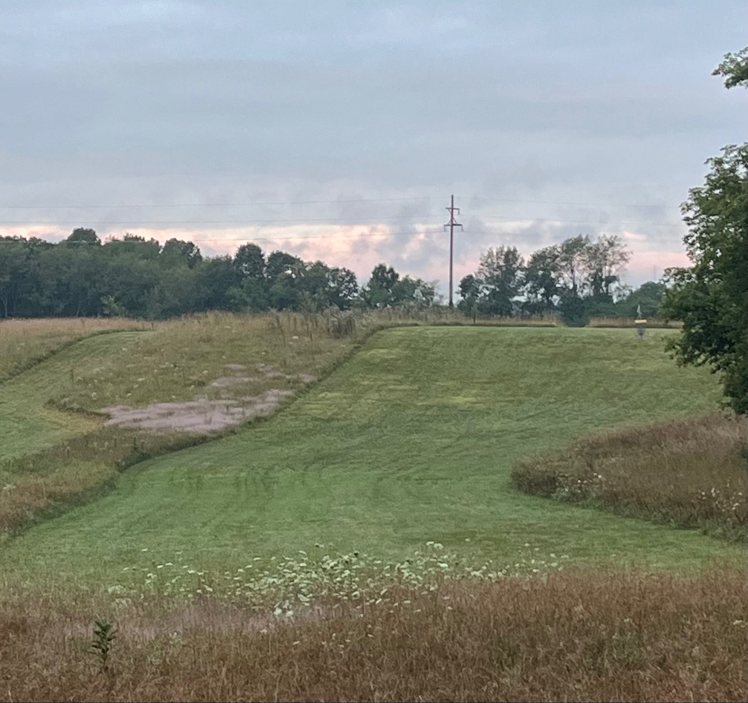 Hole 7 from near the gold (par 3) and red (par 4) tee box. A path just right of what is visible in this picture is out of bounds.