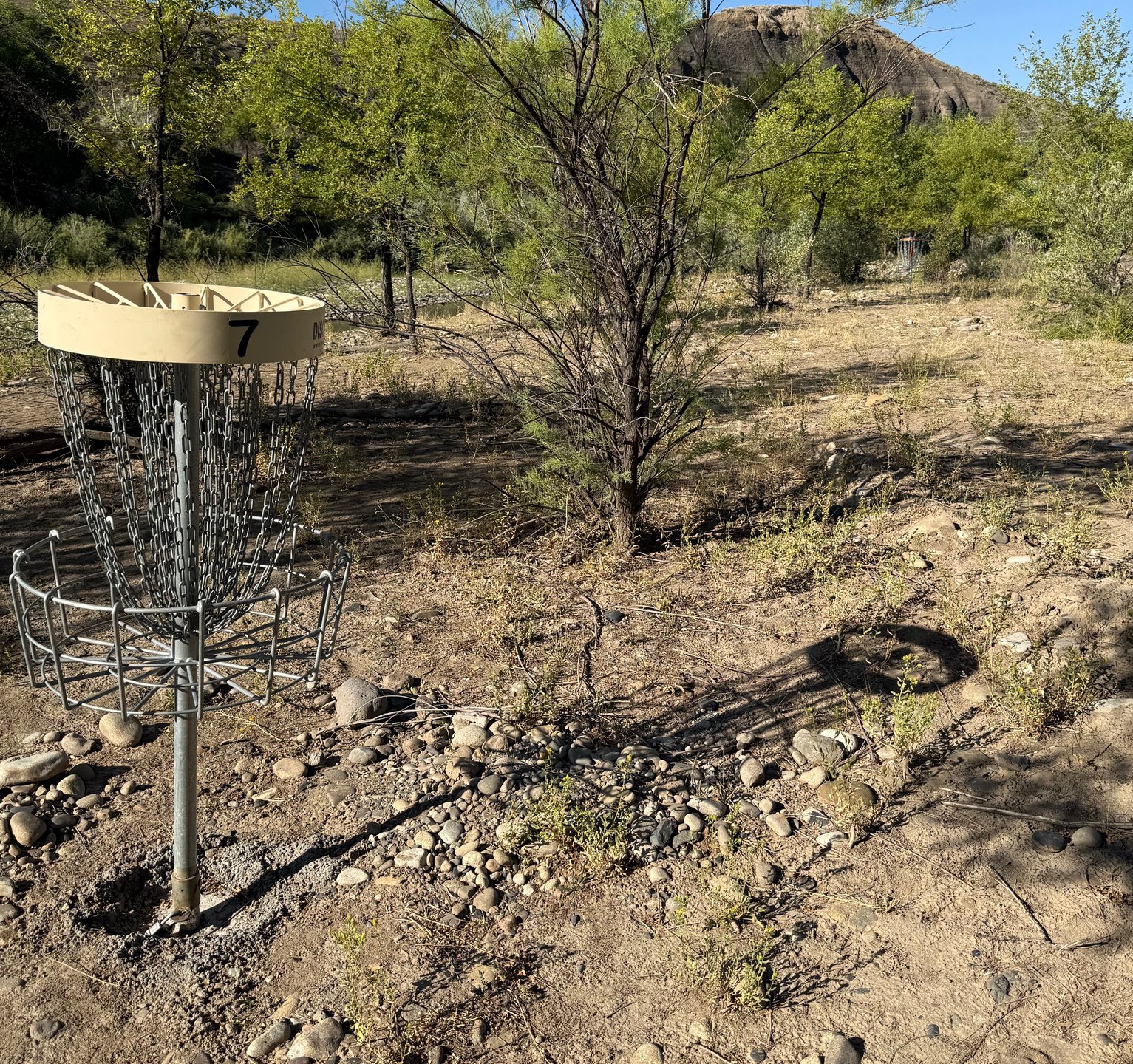 The short basket of hole 7.
