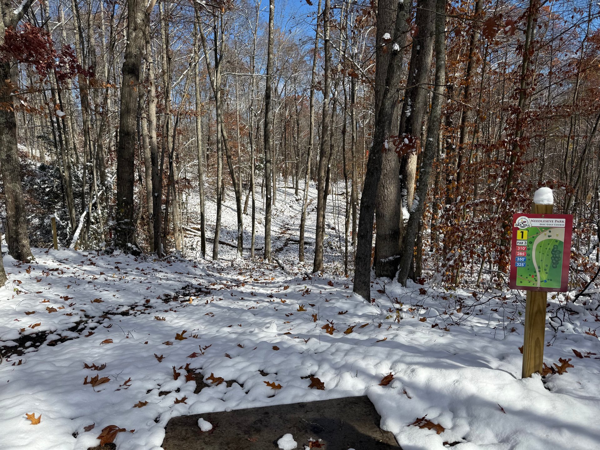 View from the long teepad