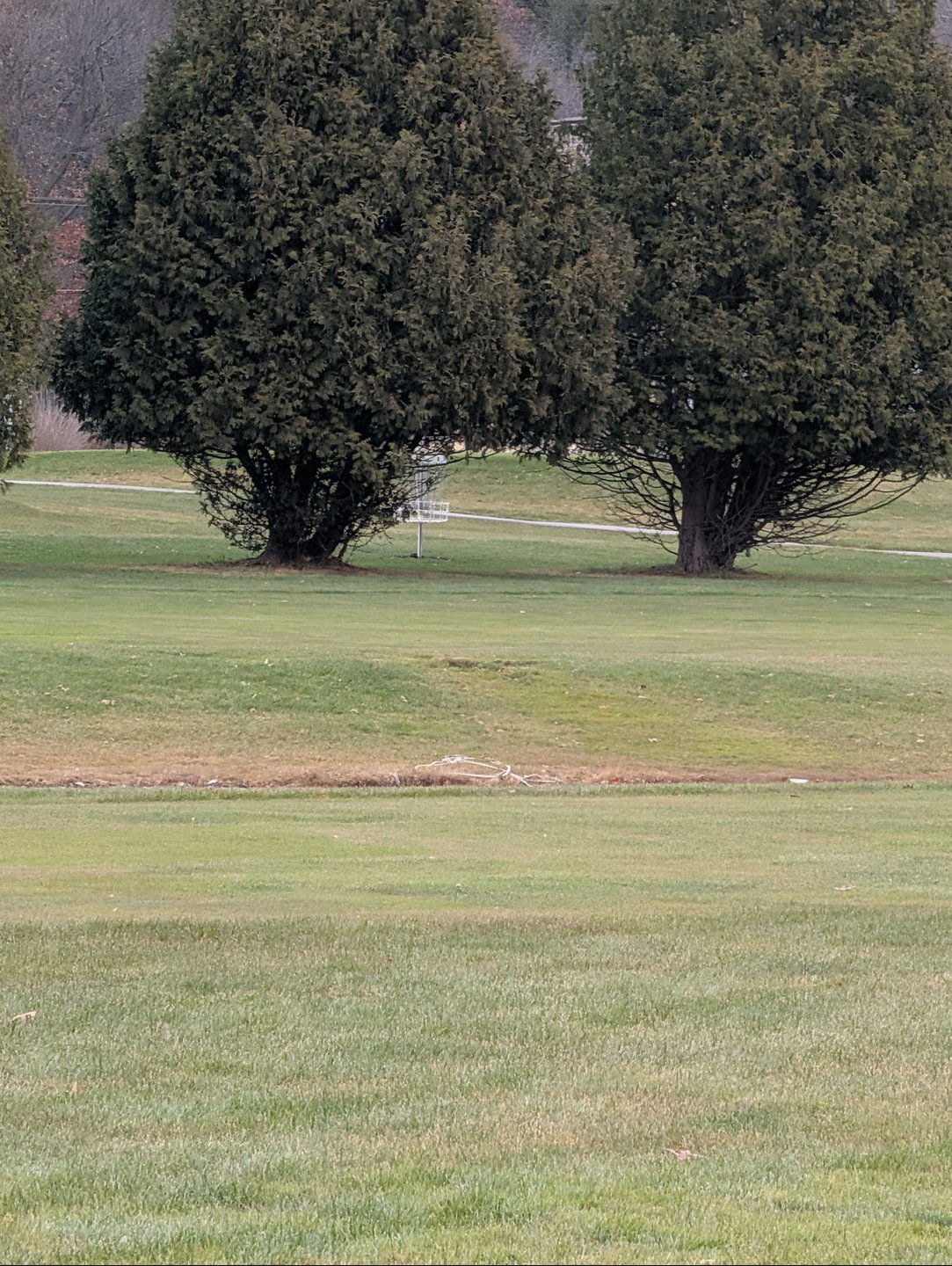 basket location zoomed in from just to the right of the long/short tee