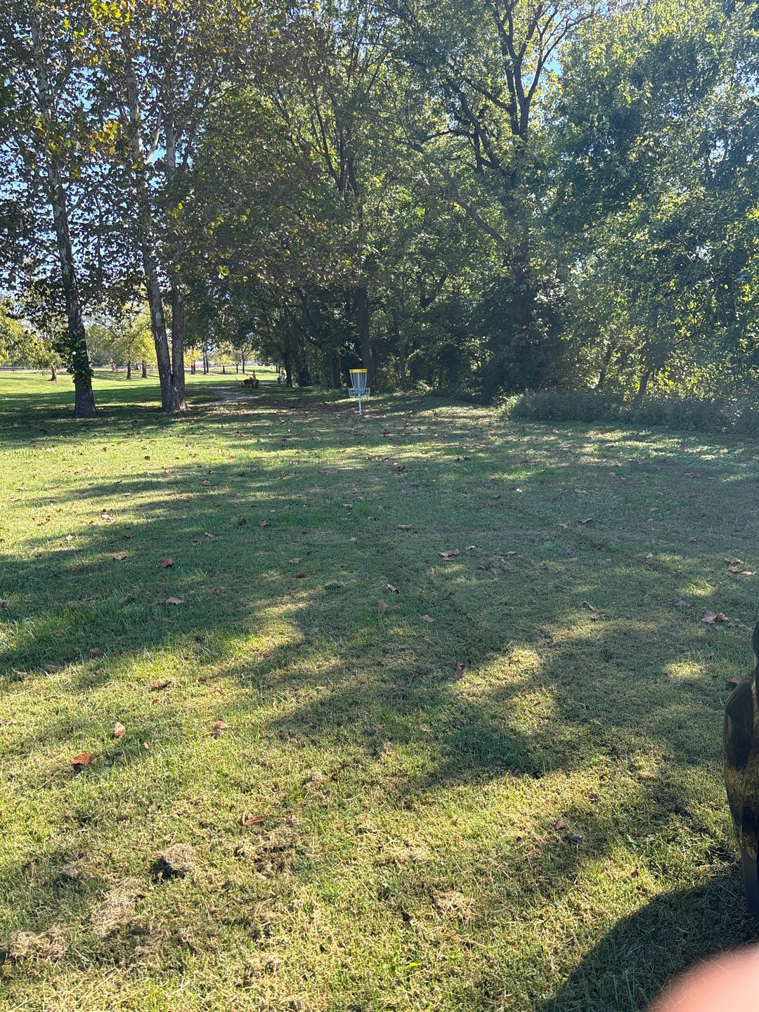 Hole 7 green 