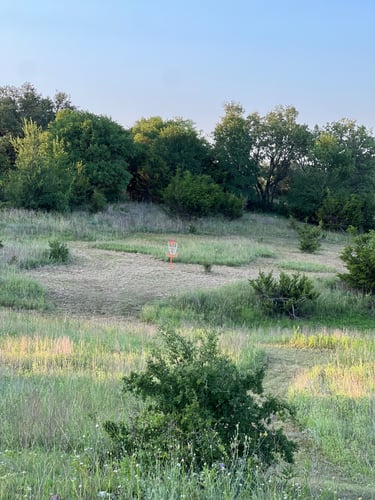 #5 from the long tee