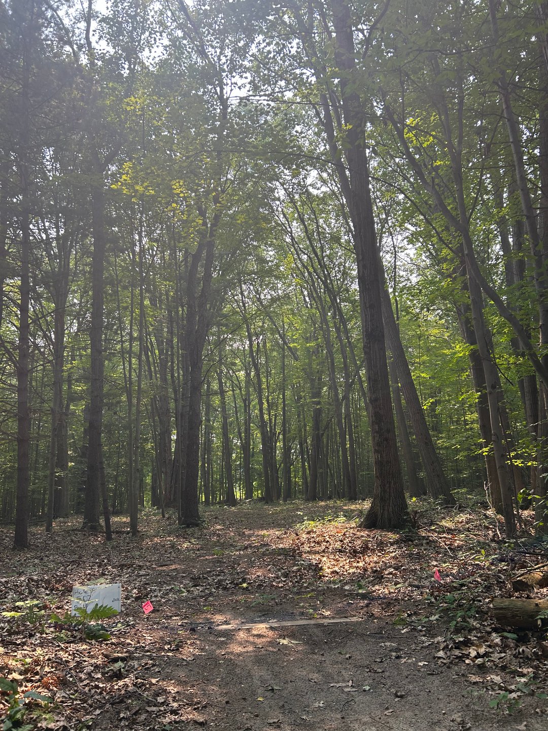 Hole 11s Long Tee 