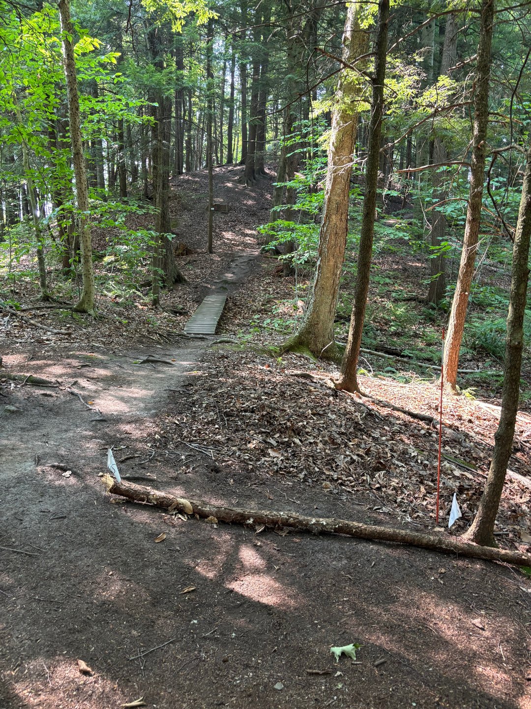 Hole 6 tee pad