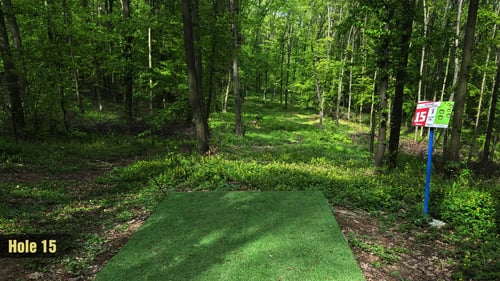 Tee 15