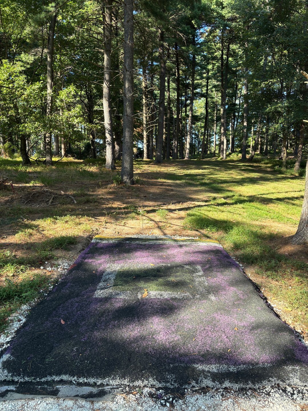 Camelot Disc Golf Course
