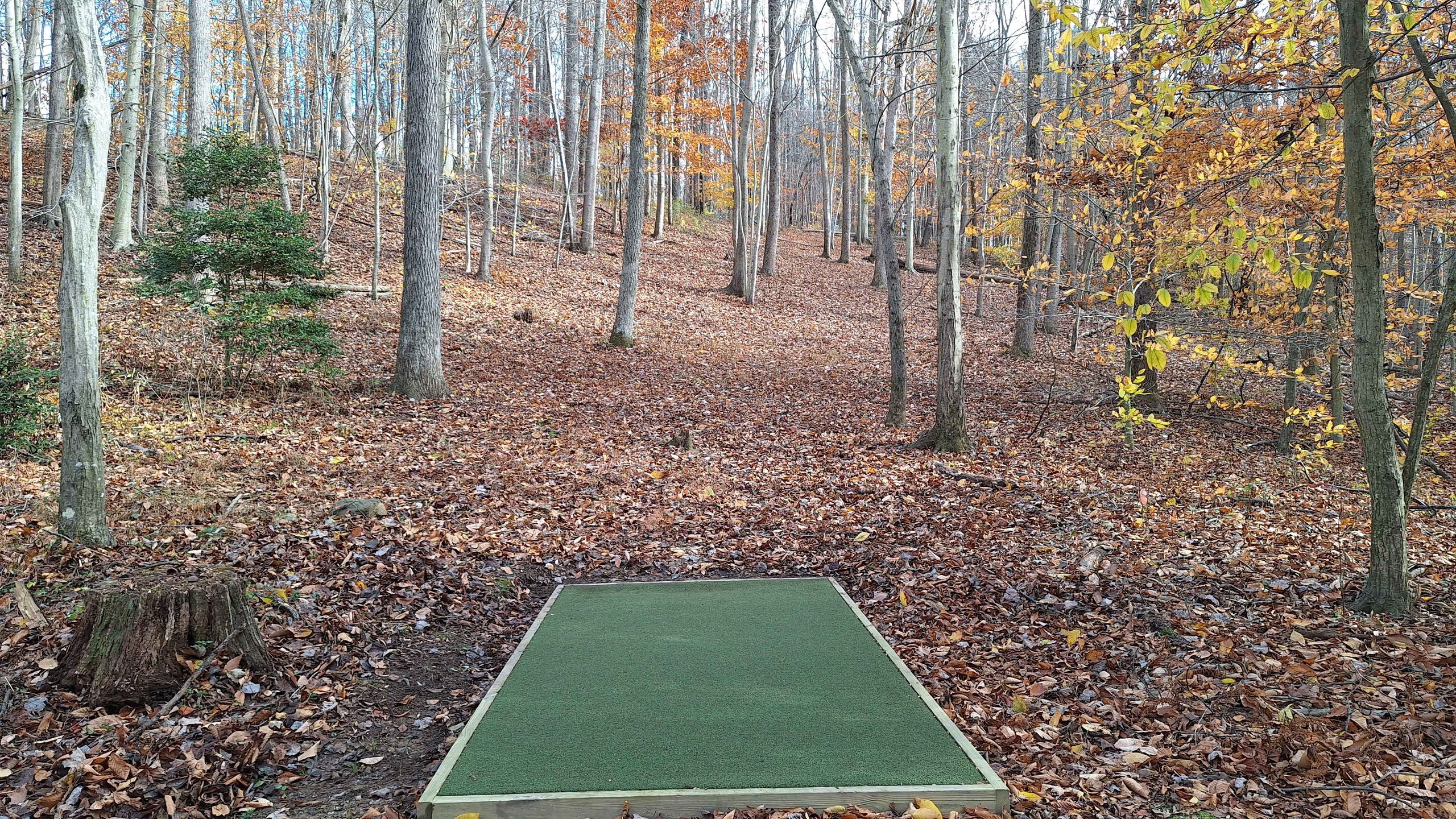Hole 6 Fairway
