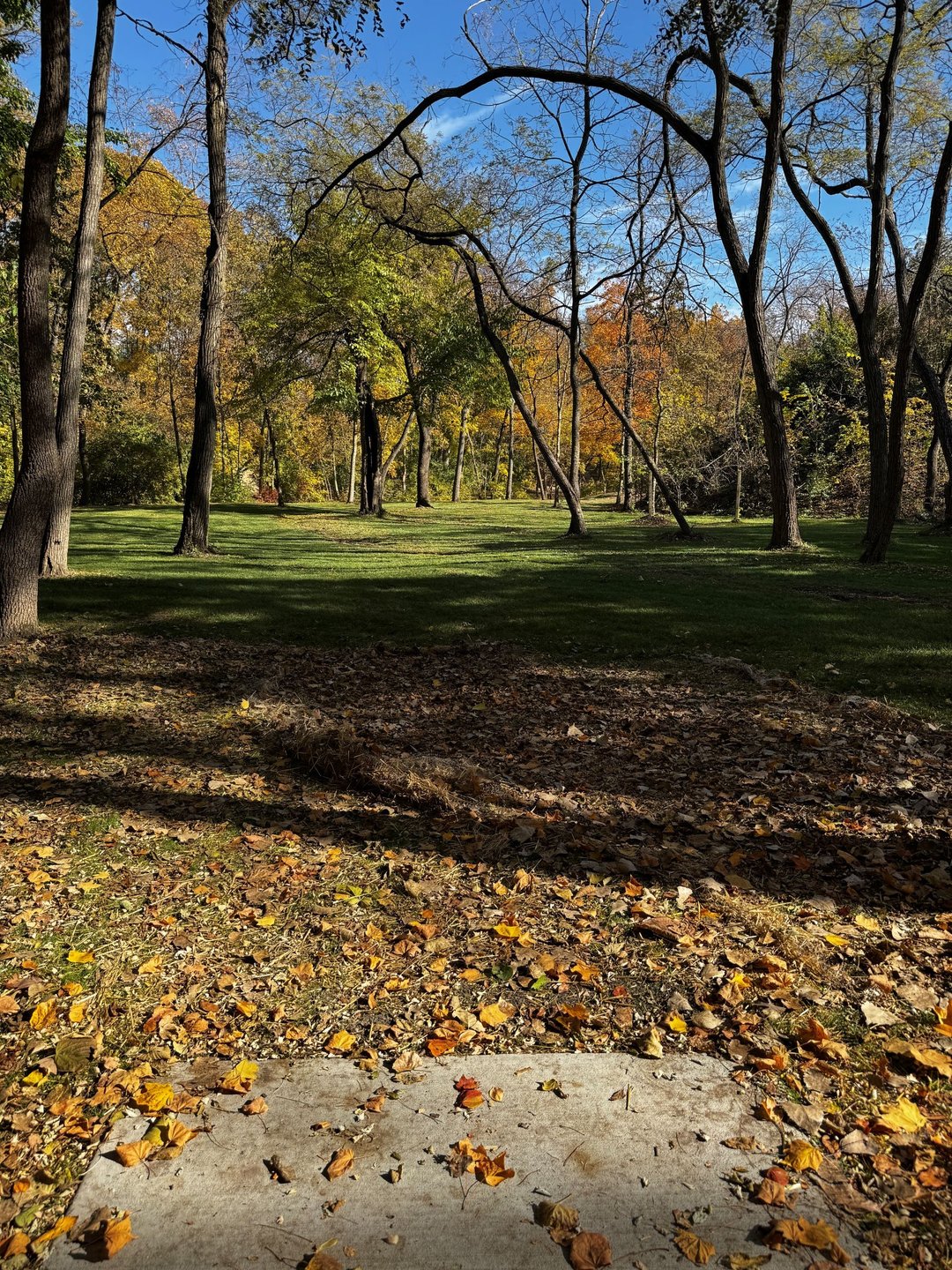 Hole 6A - Red Tee
Installed October 2025