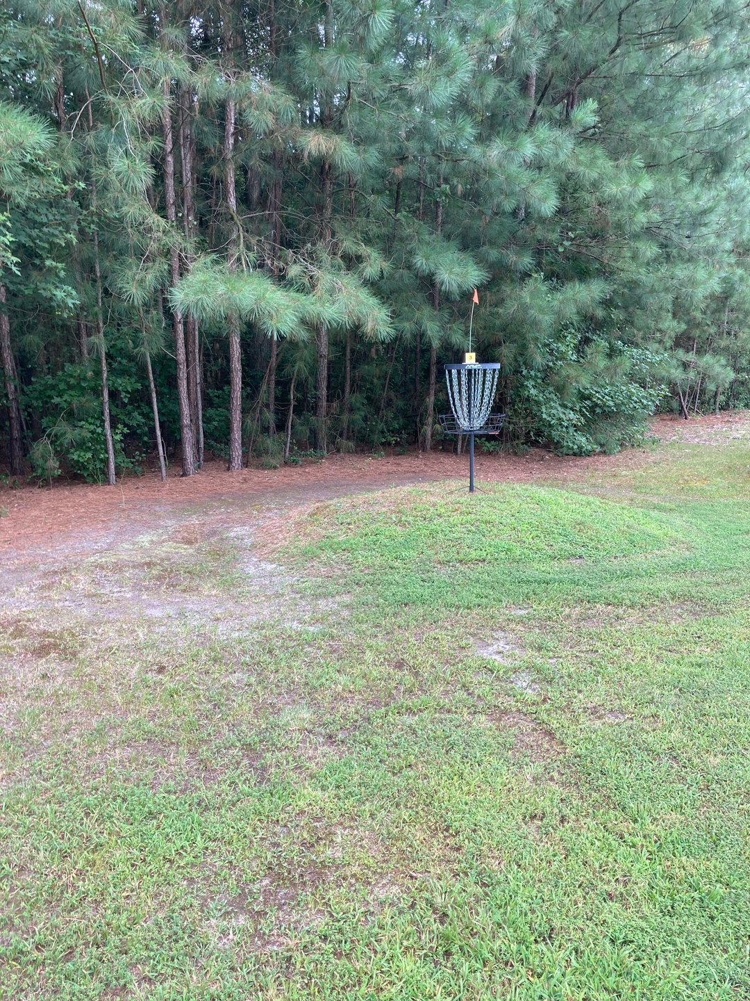 Hole 3 basket on mound 