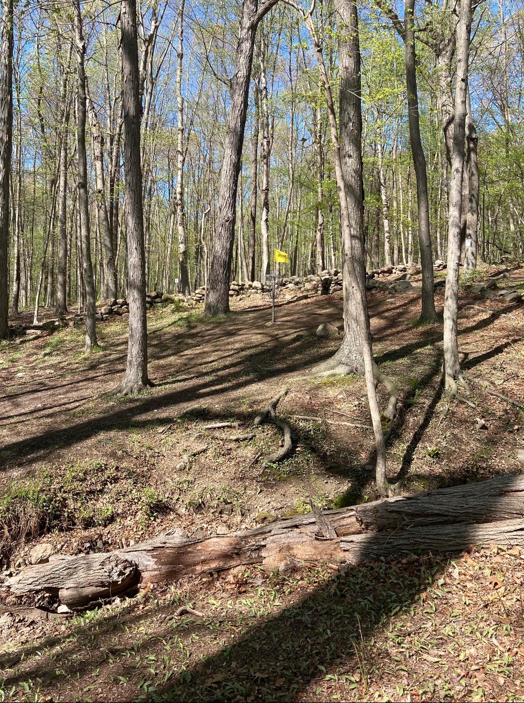 View from Hole 9 fairway toward basket