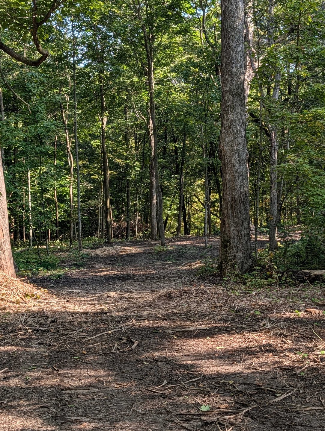 Hole 14 - Continued fairway - straight shot that you want dumping left right over the hill