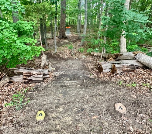 Hole #4 looks easy, but if you miss your tee shot and your disc rolls behind one of the trees, a 2-shot par is not guaranteed. The tree to the left behind the basket can provide a good backboard, however.