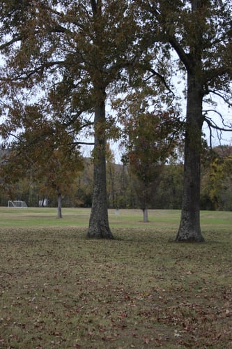View of the basket through the double mandatory gap.