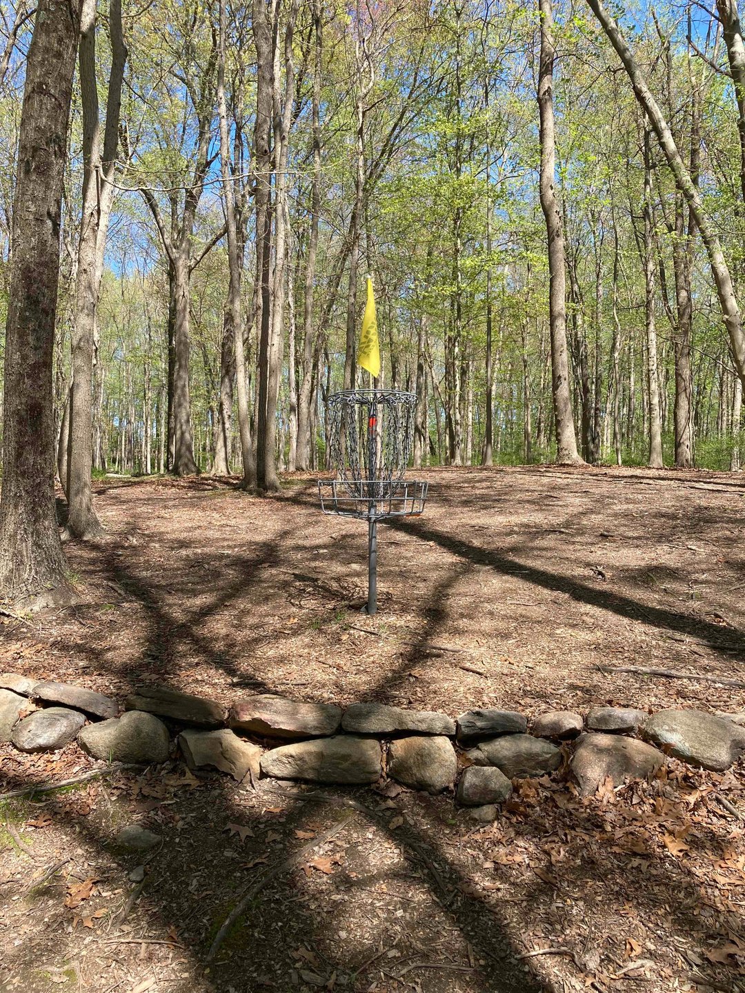 View from Hole 4 basket back up fairway