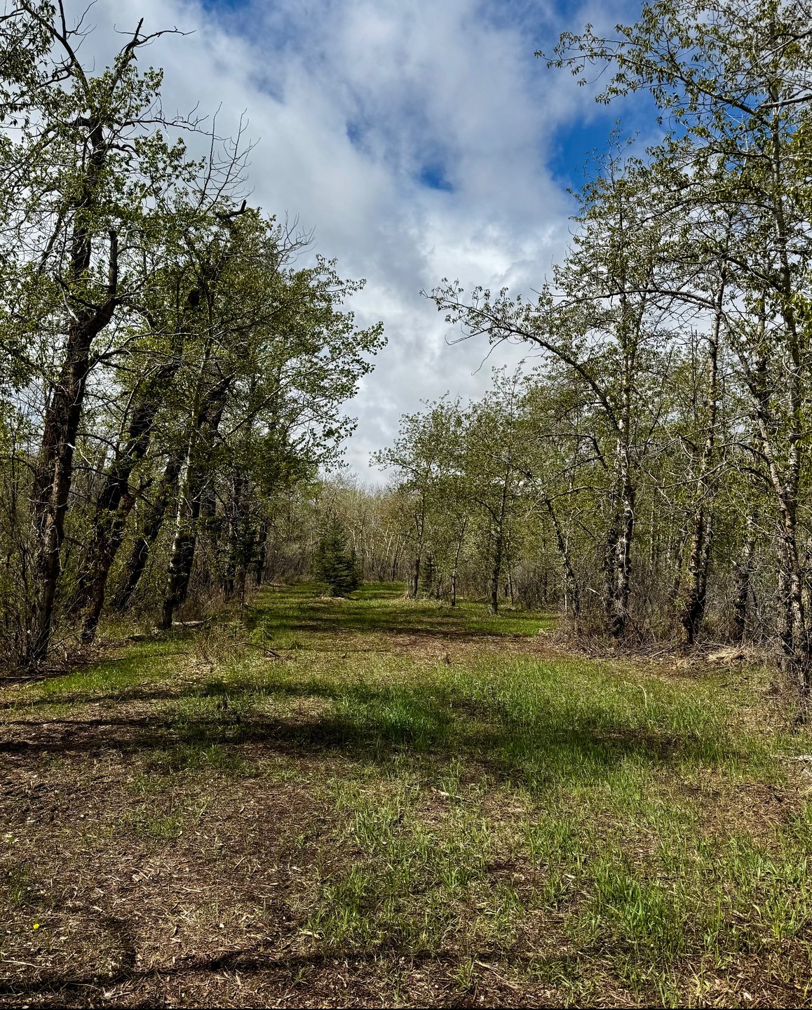 Hole 3 fairway.