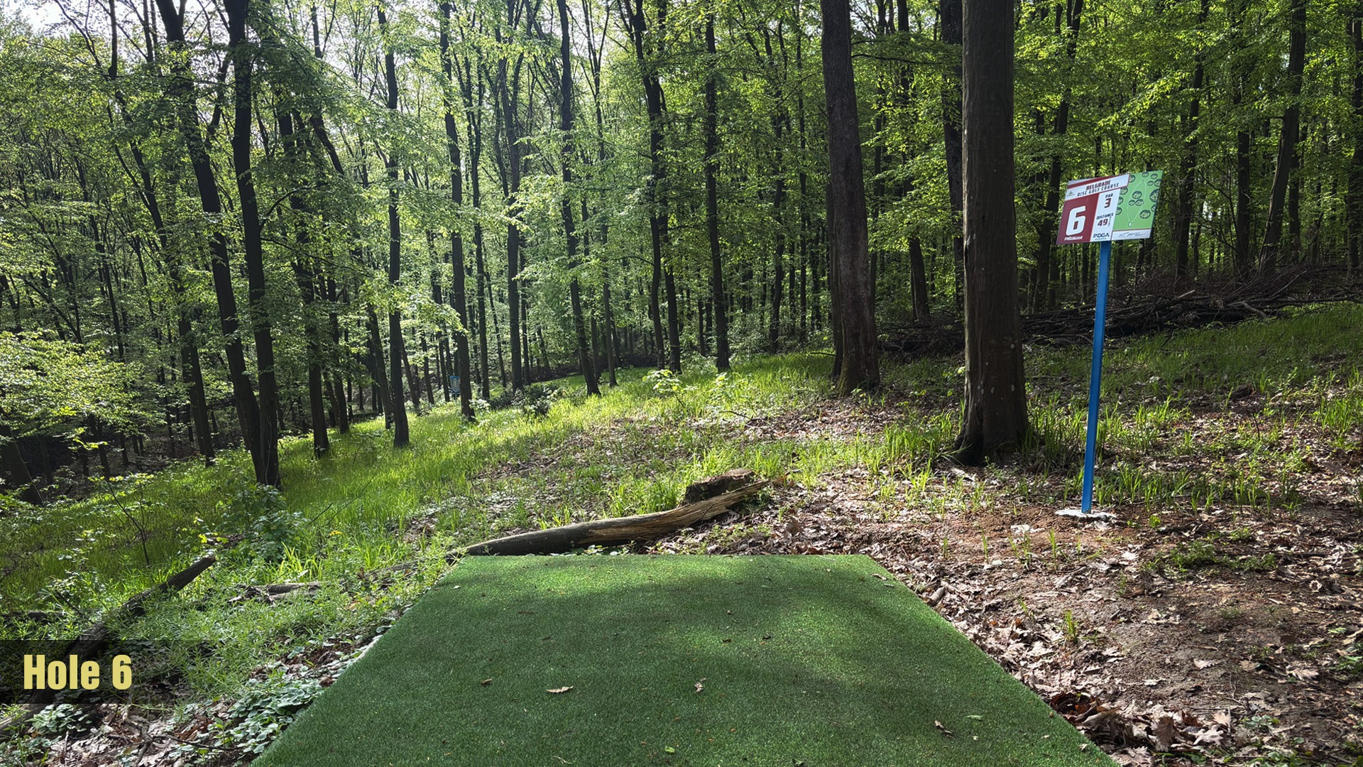Tee 6