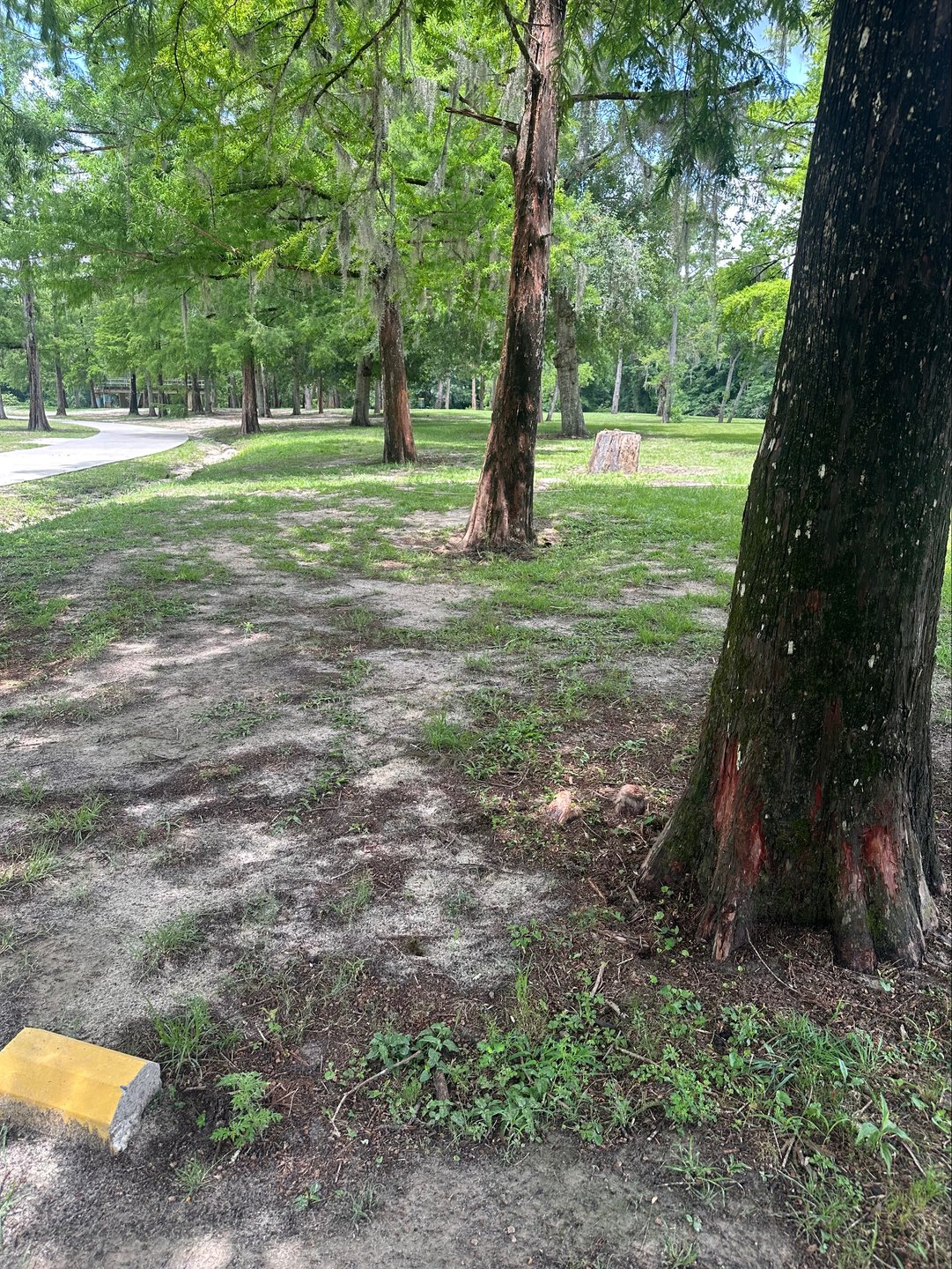 Hole 8