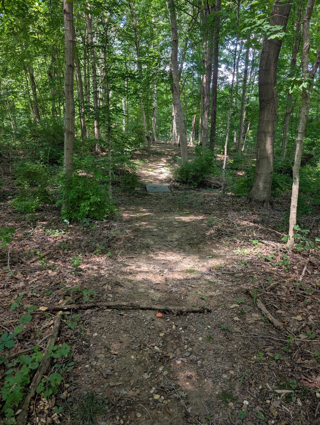Hole 12