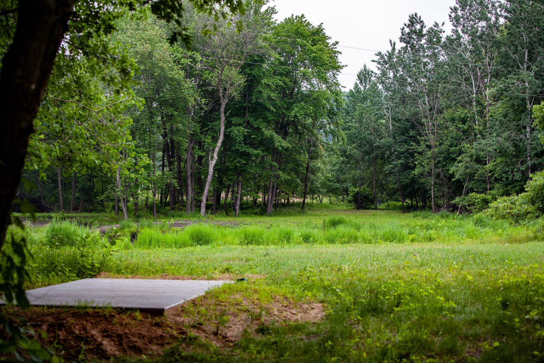 Blue tee over pond