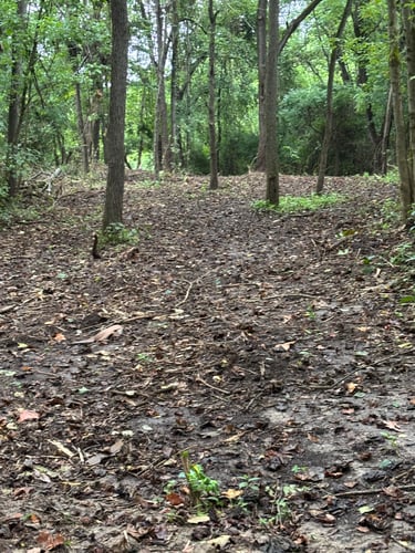 Miami Whitewater Forest fairway 2 bending right 100’ from tee