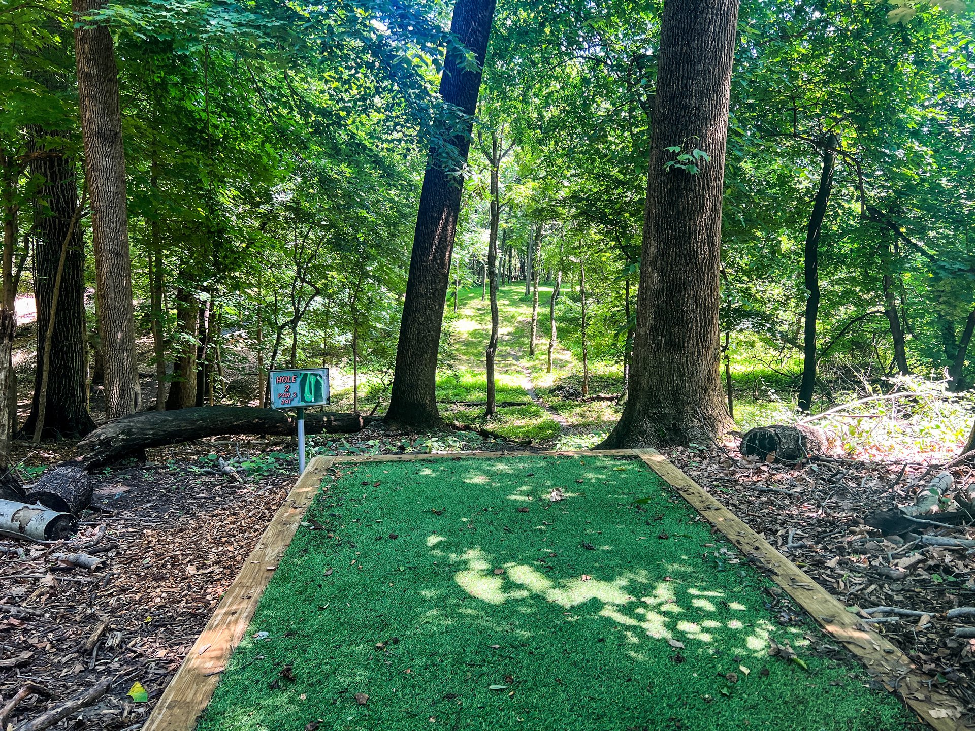 Hole 2's tee. Par 3. Pink pin directly straight ahead.  246 ft. Currently there is no Yellow Basket on Hole 2.  