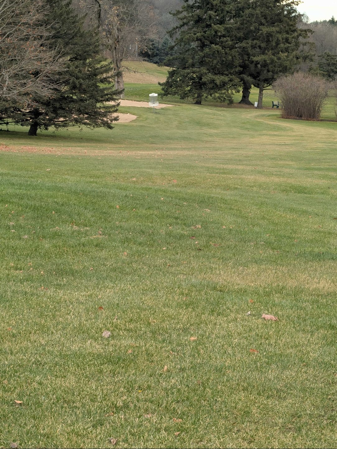 basket location zoomed in from short tee