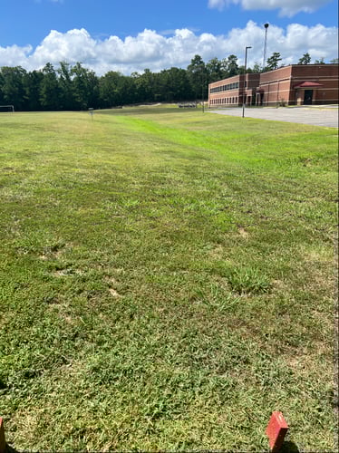 Tee 1