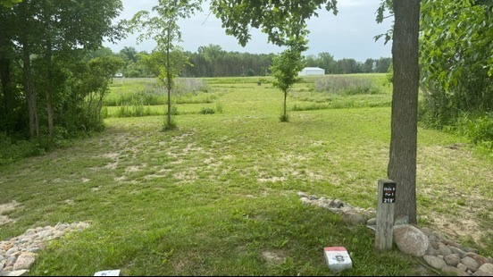 Hole 8 Tee. Island hole