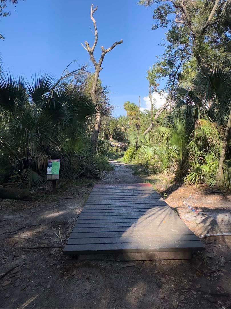 Only tee pad for this hole. Use for blue and white layout. 