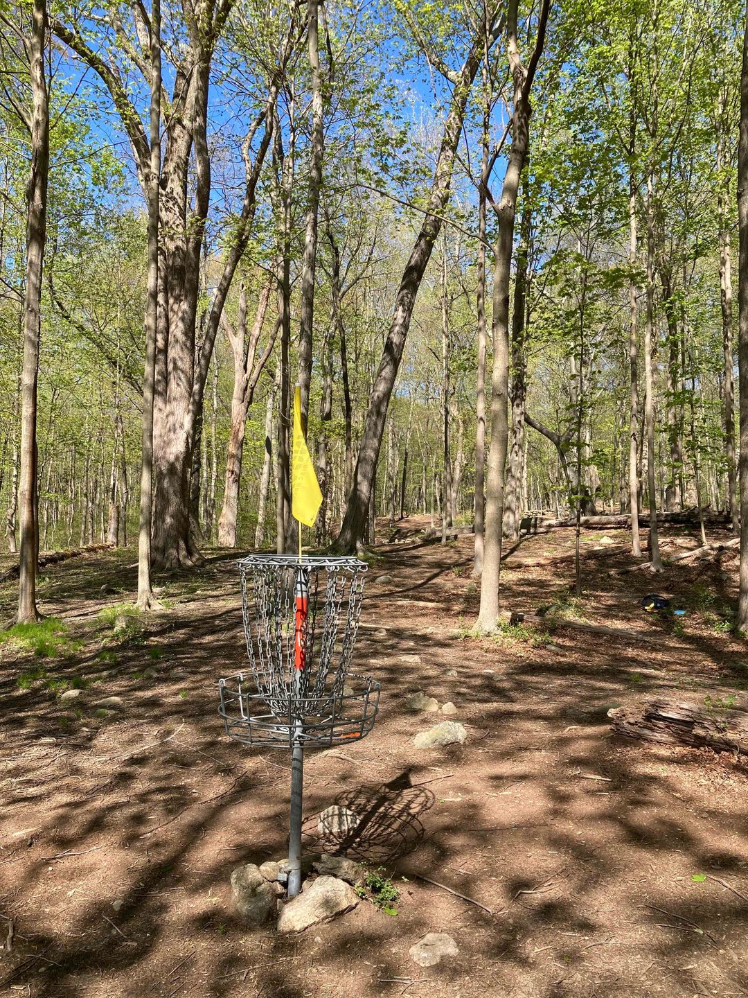 View from Hole 8 basket back up fairway