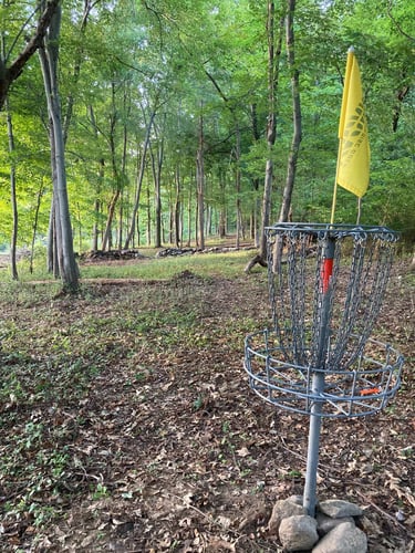 Basket area of 5 looking back up fairway