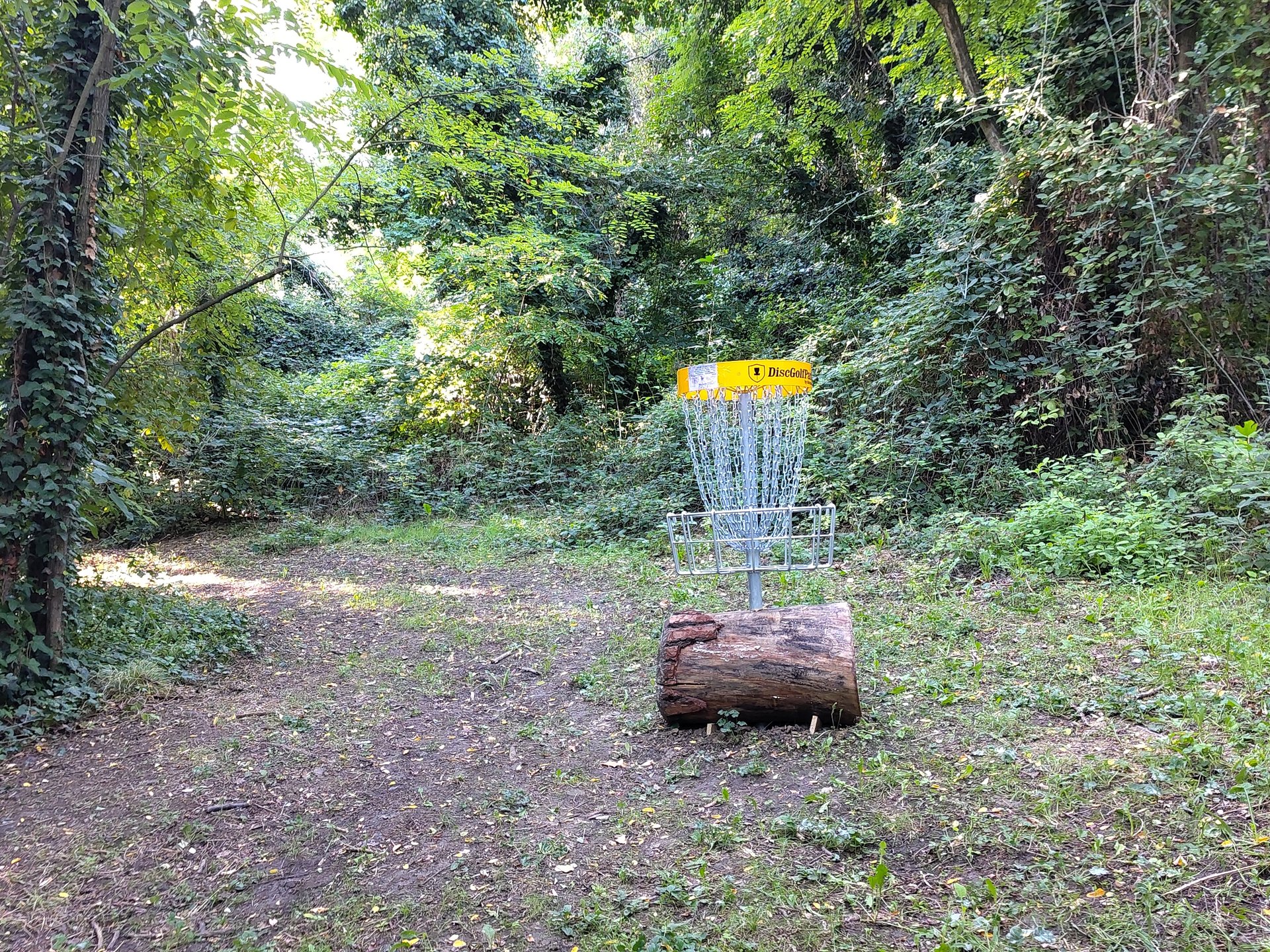 basket hole 5