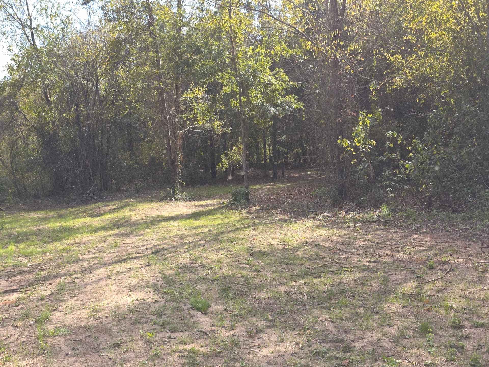 The approach shot on hole 11.