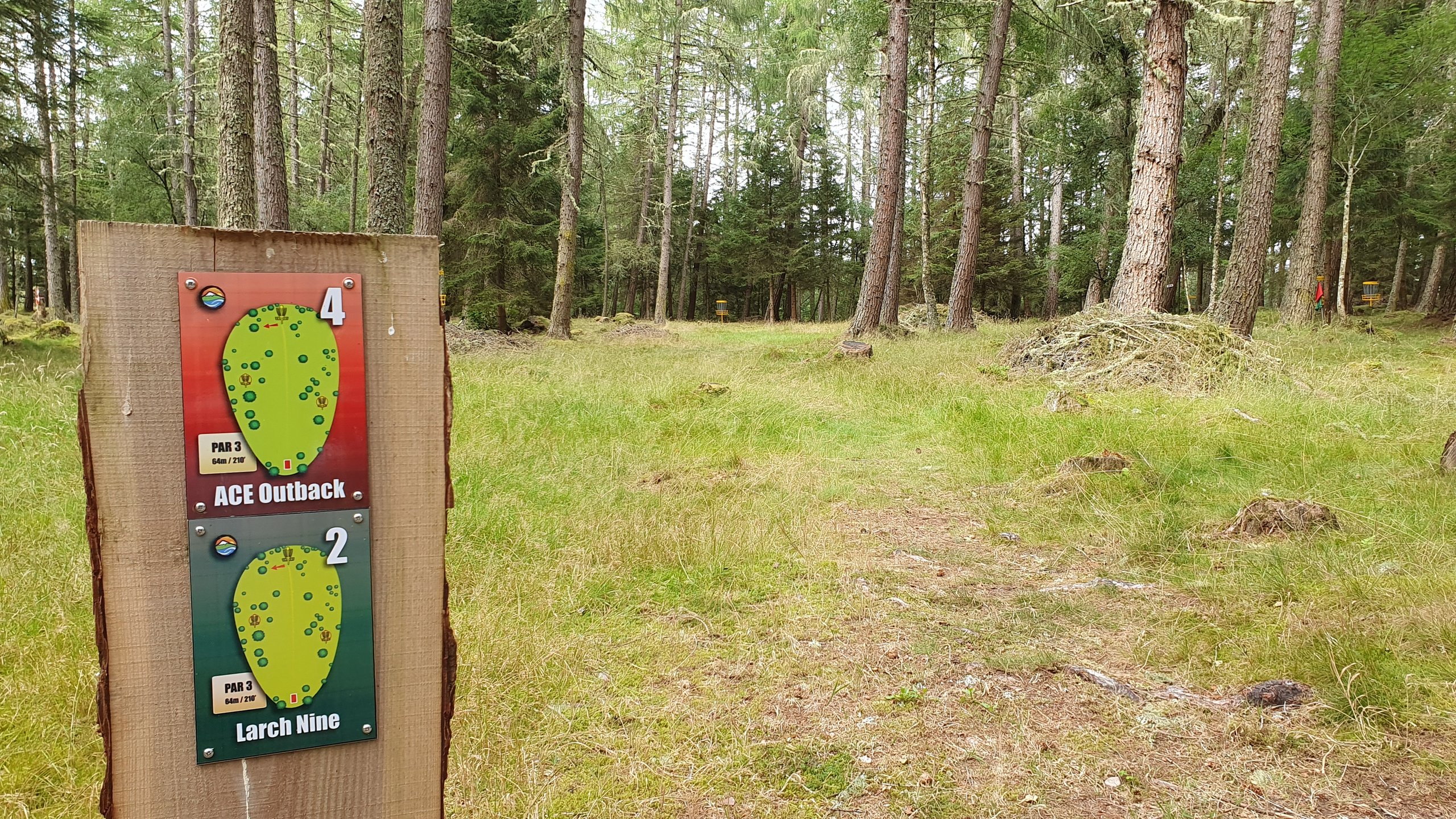 Hole #2 - Larch Nine