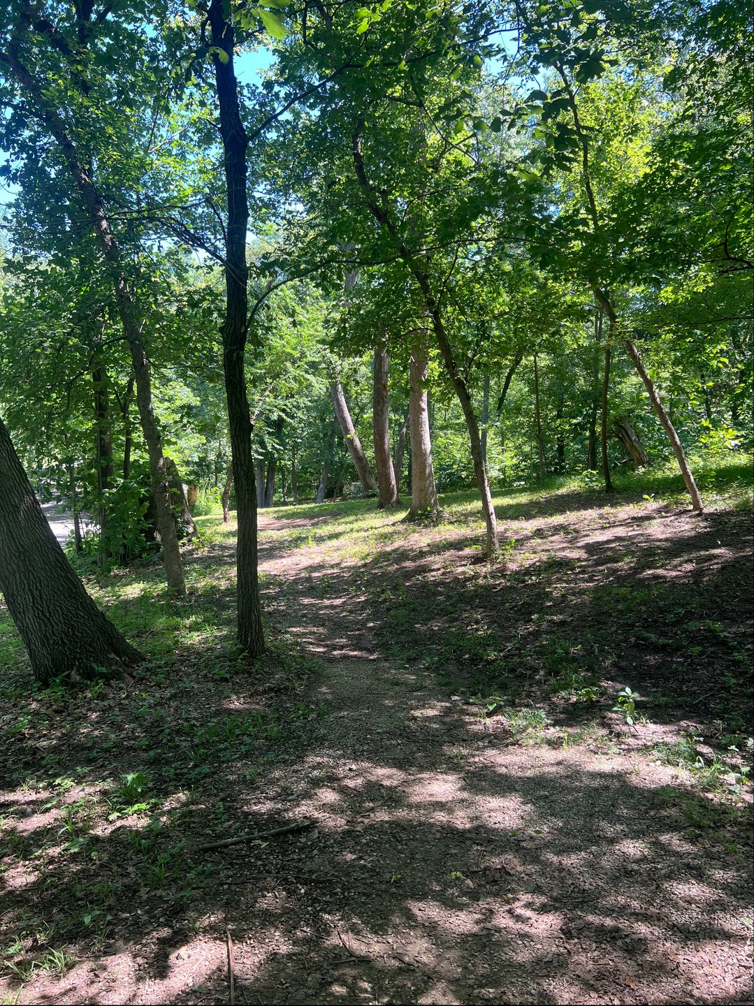 Hole #5 standing on tee pad facing fairway 