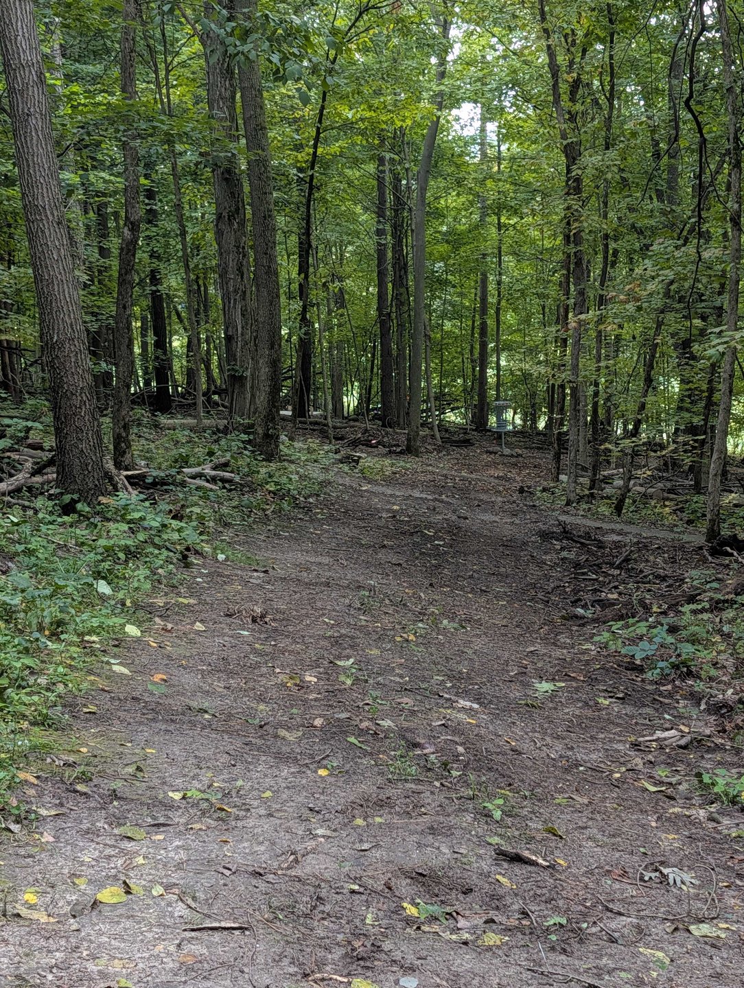 Hole 3 - Pin location around the bend of the fairway 