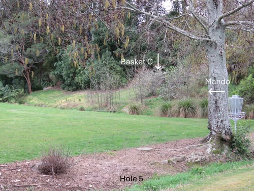 Tee from behind ditch - mando left past tree closest to basket B