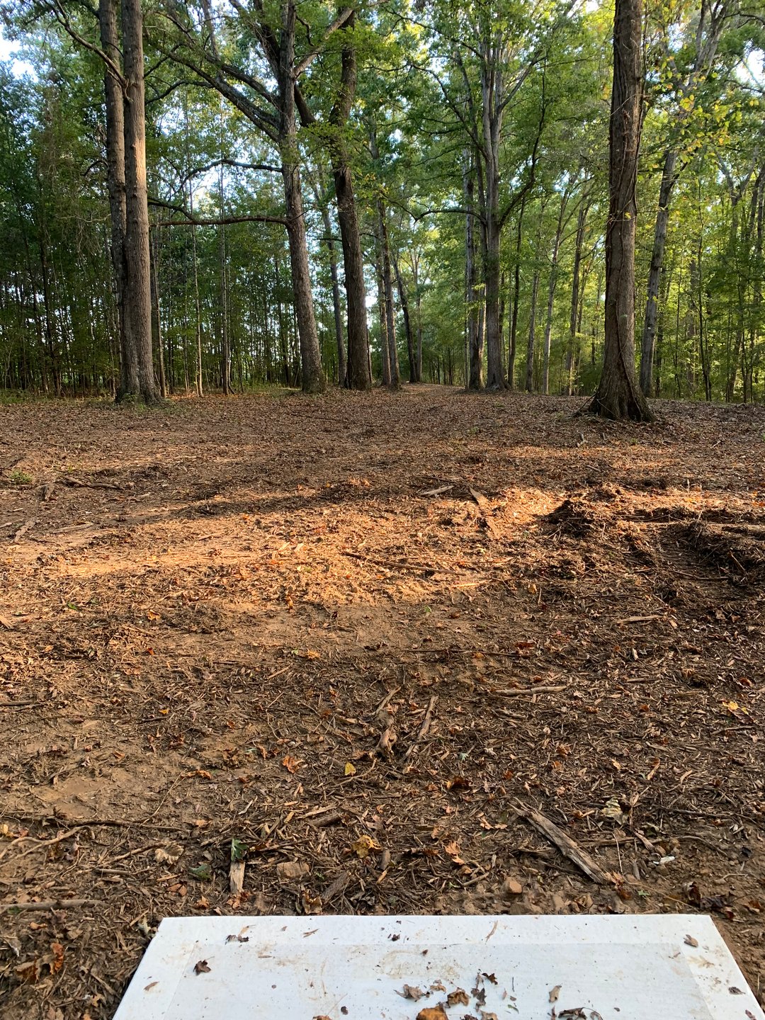 Hole 18 - Gold Tee (under construction)