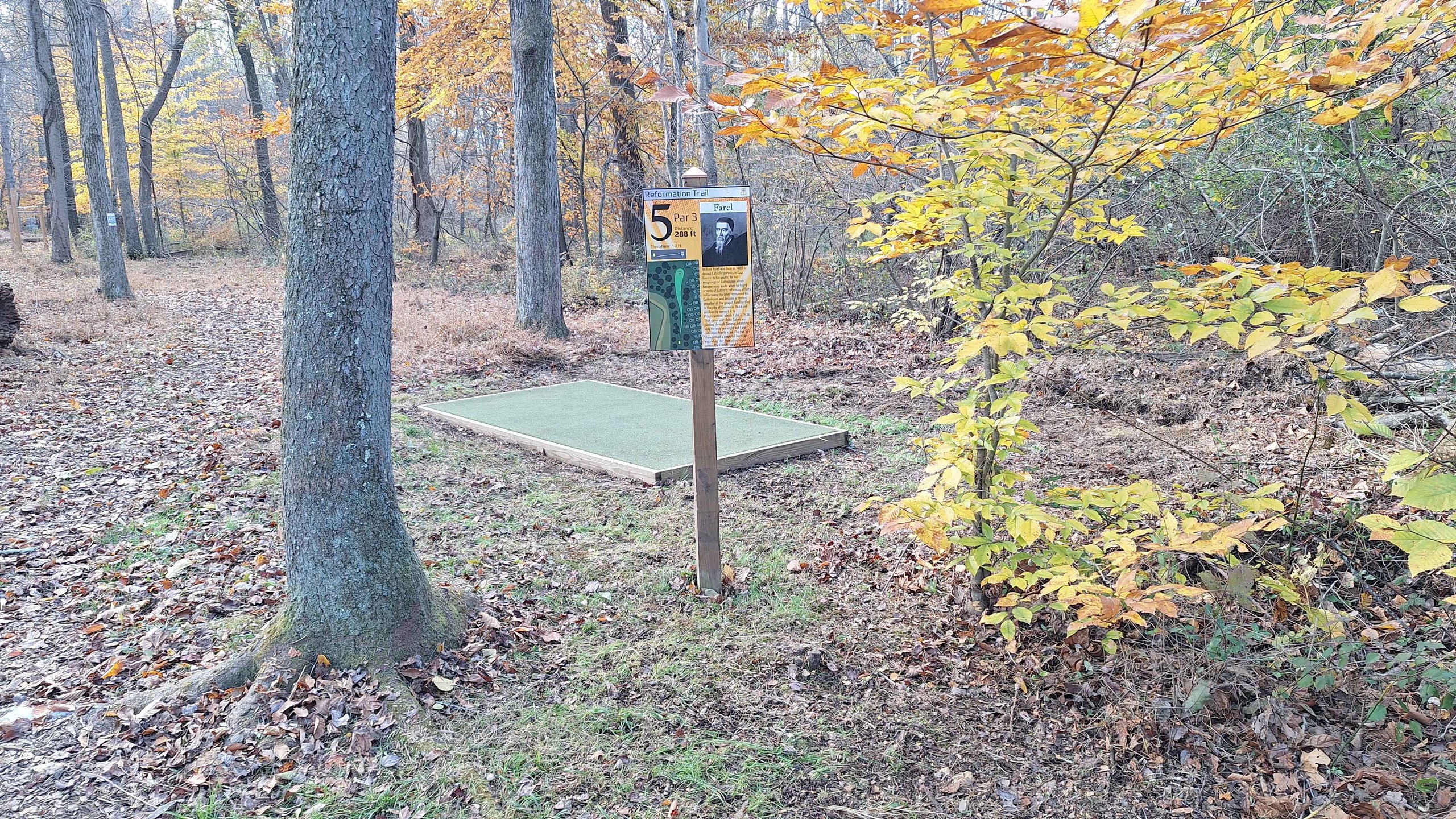 Hole 5 Tee Pad
