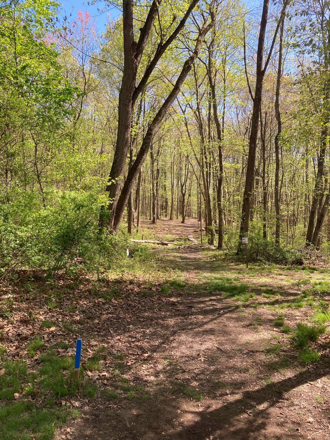 View from Hole 7 blue tee