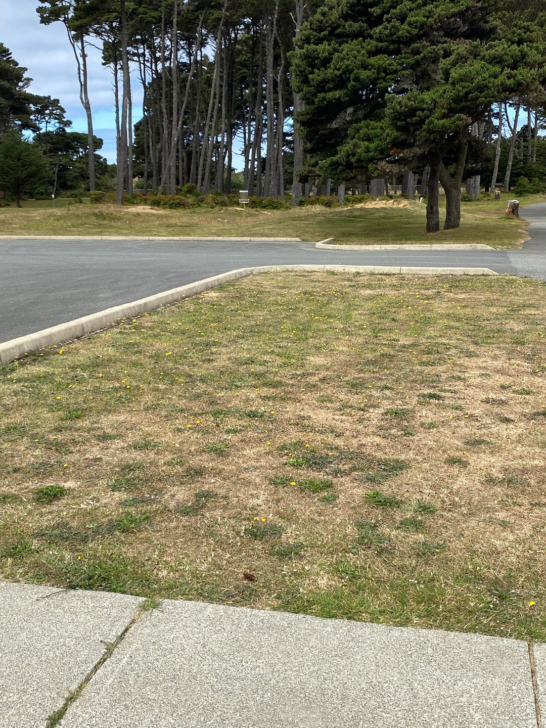 Tee box for hole 8A on the Bandon 30 layout.  Use the last two sidewalk sections that connect to the walking path as the Tee.