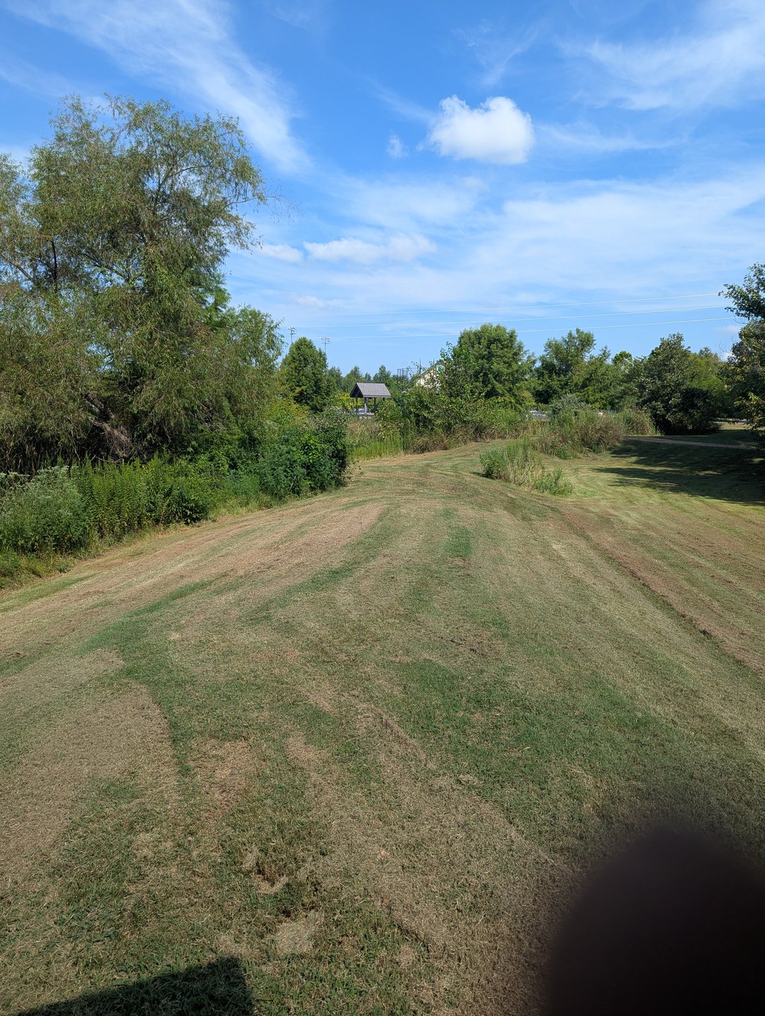17's pond from the short basket looking back toward the tee (pond will be cleared out and looking pretty before too much longer