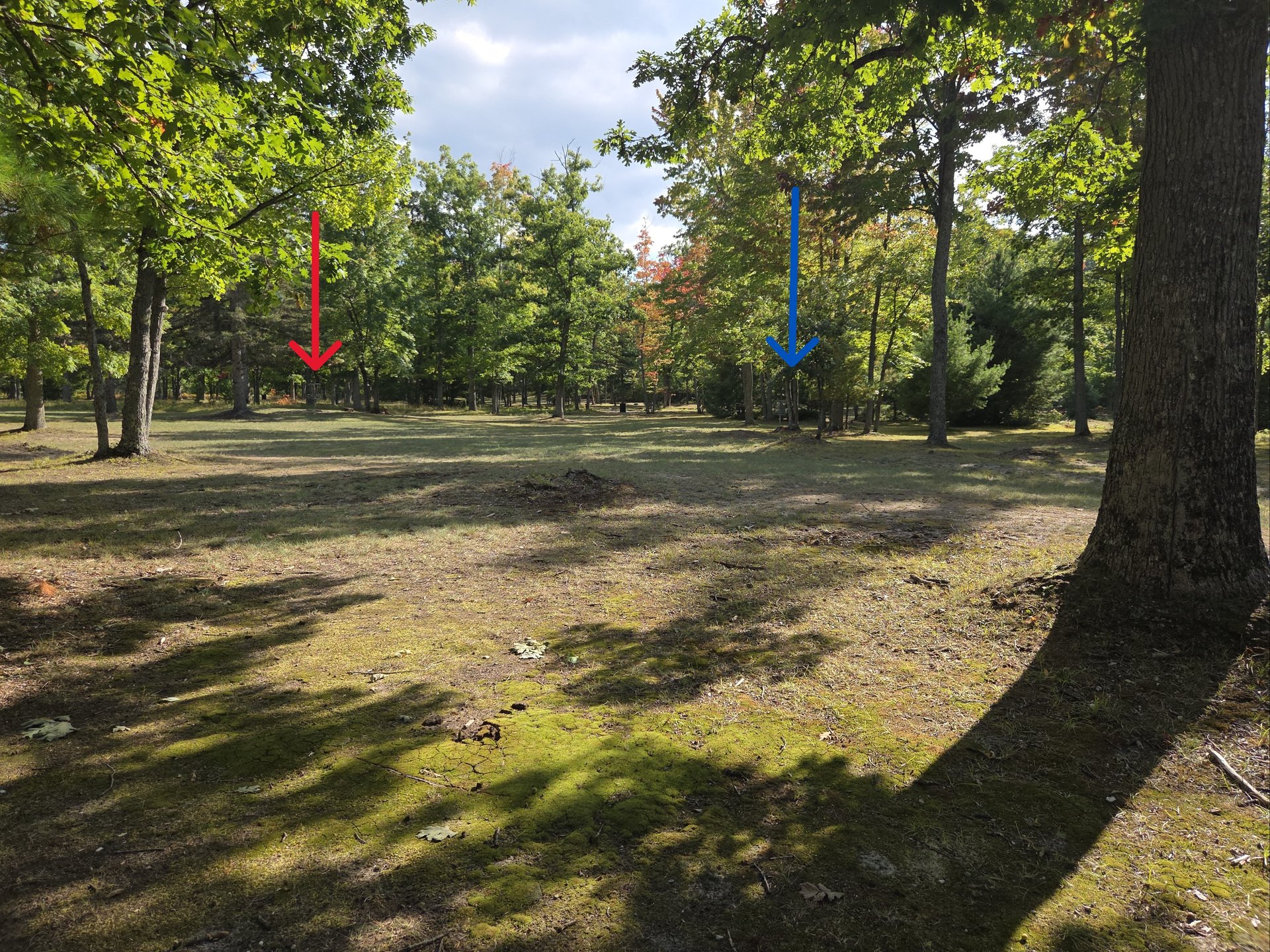 #9 Blue Tee upshot Red & Blue baskets