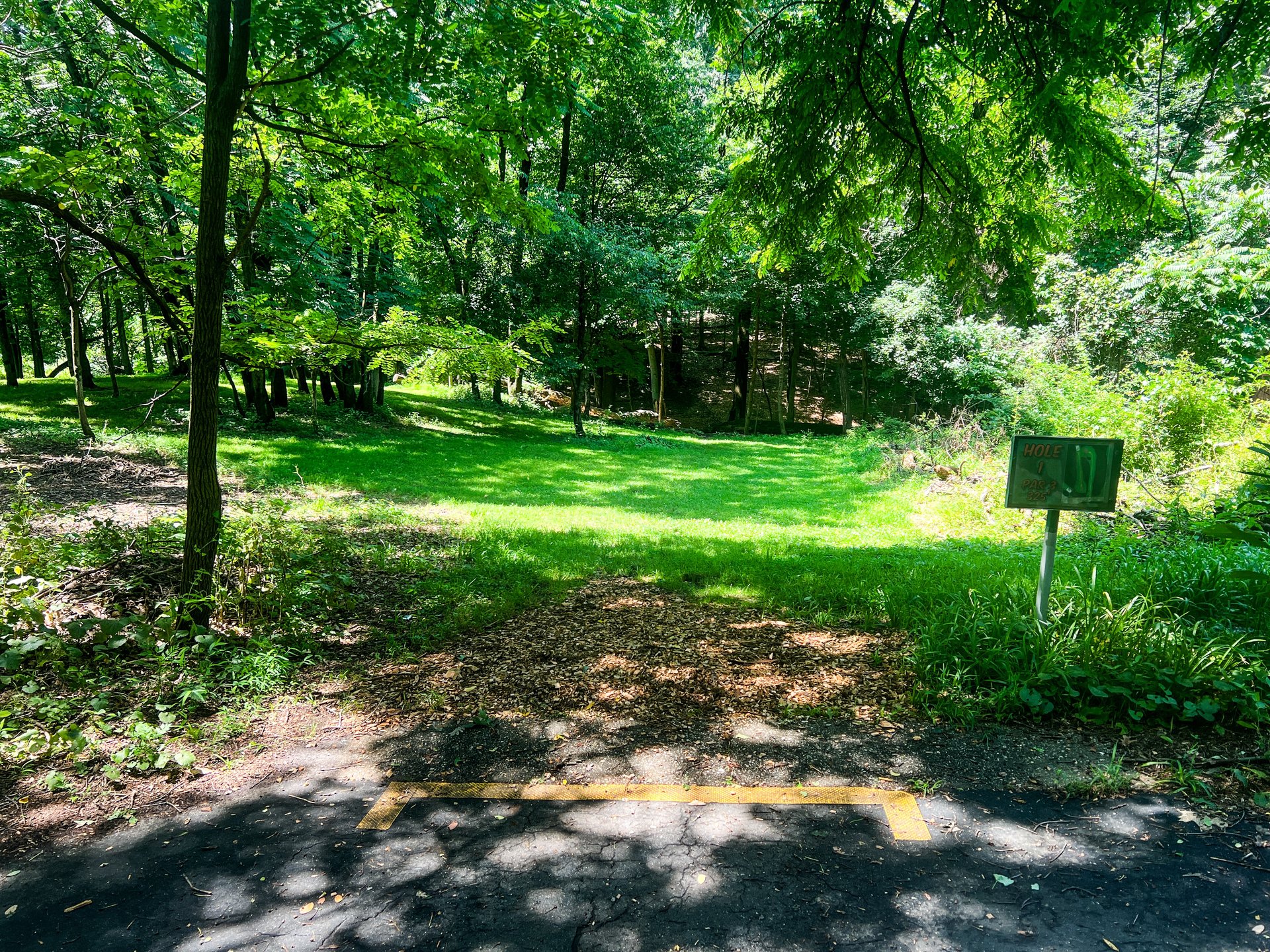 Hole 1's tee. Pink pin is down the hill and back up to the left behind large tree. Yellow pin in down the hill and back up to the right in an opening space in the forest. 